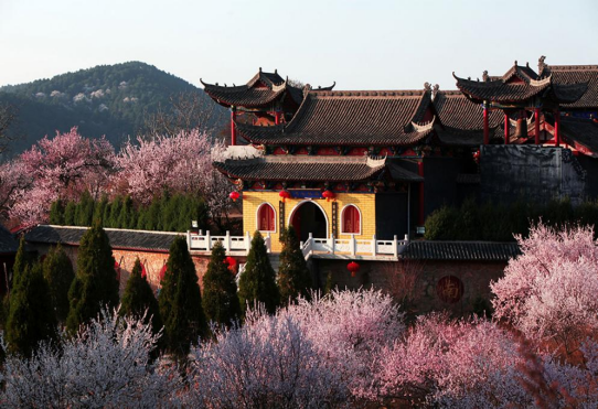 古韵菩提，文化赋能成就非遗盛誉